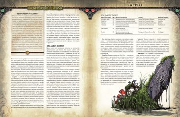 Pathfinder НРИ. «Расколотая звезда», выпуск №4 «За дверью Судного дня»