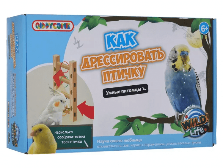 Как дрессировать птичку