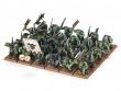 Orc & Goblin Tribes Battalion (The Old World)