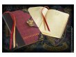Блокнот Гарри Поттер Гриффиндор