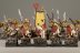 Warhammer Fantasy Battles Skaven Clanrats x18 (Painted)