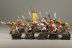 Warhammer Fantasy Battles Skaven Clanrats x18 (Painted)