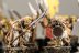Warhammer Fantasy Battles Skaven Clanrats x18 (Painted)