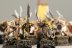 Warhammer Fantasy Battles Skaven Clanrats x18 (Painted)