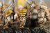 Warhammer Fantasy Battles Skaven Clanrats x18 (Painted)