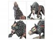 Fangs of the Blood Queen (Age of Sigmar, Flesh-Eater Courts)