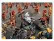 White Dwarf 500