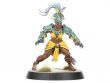 Kara Temple Harpies - Amazon Team (Blood Bowl)