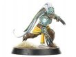 Kara Temple Harpies - Amazon Team (Blood Bowl)
