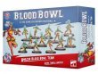 Kara Temple Harpies - Amazon Team (Blood Bowl)