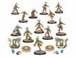Kara Temple Harpies - Amazon Team (Blood Bowl)