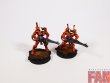 Warhammer 40k Craftworlds Guardians x10 (Pro-Painted)