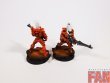 Warhammer 40k Craftworlds Guardians x10 (Pro-Painted)