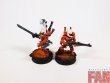 Warhammer 40k Craftworlds Guardians x10 (Pro-Painted)