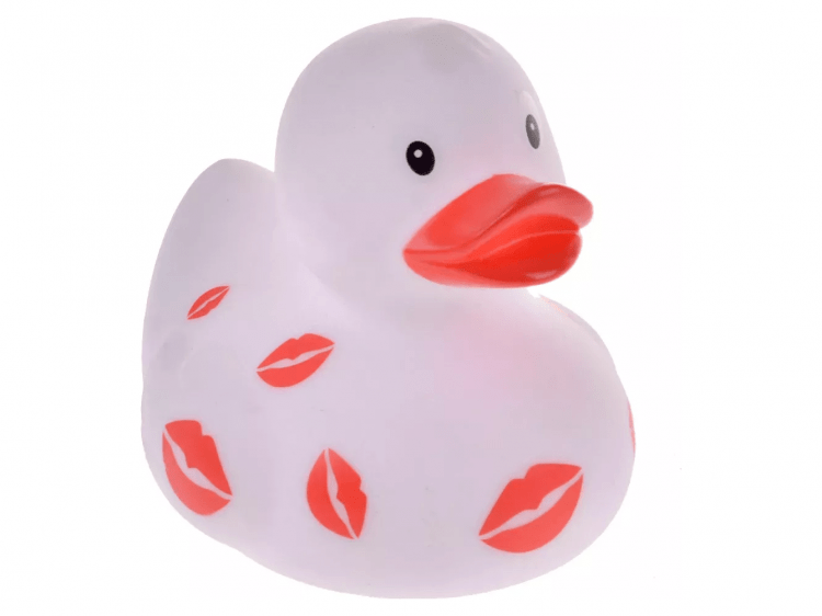 Funny Ducks 