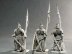 Dark Elf Lancers