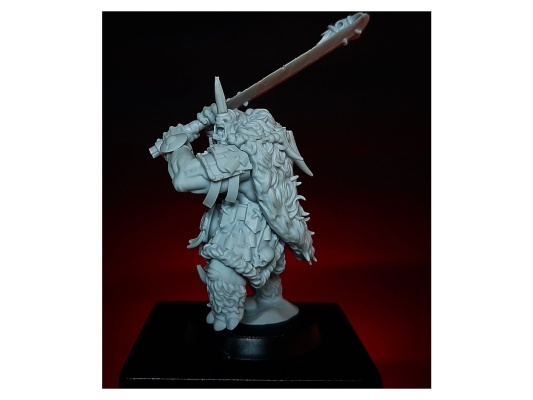 Рингор Лорд | Игровая миниатюра 32 мм