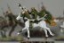 Warhammer Fantasy Battles Wood Elf Glade Riders x5 (Painted)
