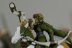 Warhammer Fantasy Battles Wood Elf Glade Riders x5 (Painted)
