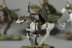 Warhammer Fantasy Battles Wood Elf Glade Riders x5 (Painted)