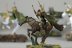 Warhammer Fantasy Battles Wood Elf Glade Riders x5 (Painted)