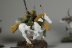 Warhammer Fantasy Battles Wood Elf Glade Riders x5 (Painted)