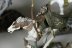 Warhammer Fantasy Battles Wood Elf Glade Riders x5 (Painted)