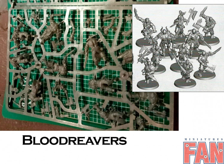 Age of Sigmar Bloodreavers x10