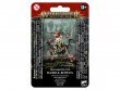 Rabble-rowza (предзаказ 2023, Age of Sigmar Gloomspite Gitz)