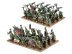 Orc Boyz and Orc Arrer Boyz Mob (The Old World, Orc &amp; Goblin Tribes)