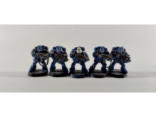 Space Marine Tactical Squad (Painted)