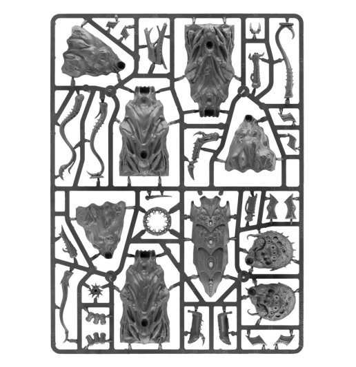 Tyrannocyte/Sporocyst with Spores