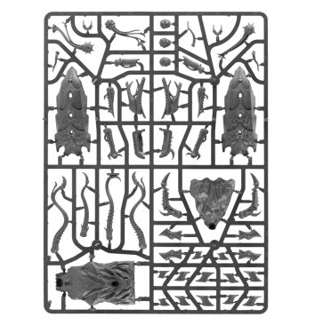 Tyrannocyte/Sporocyst with Spores