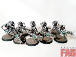 Warhammer 40k Necron Warriors x10 (Pro-Painted Steel)
