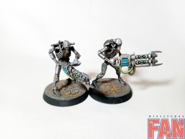 Warhammer 40k Necron Warriors x10 (Pro-Painted Steel)