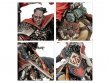 Freeguild Cavalier-Marshal (Age of Sigmar Сities of Sigmar)