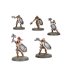 Warhammer Age of Sigmar - Introductory Set (предзаказ 2025)