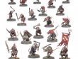 Warhammer Age of Sigmar - Introductory Set