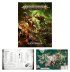 Warhammer Age of Sigmar - Introductory Set (предзаказ 2025)