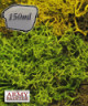 X-BF Undergrowth.jpg