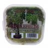 TAP BF4109 - Summer Undergrowth [Tub] 02.jpg