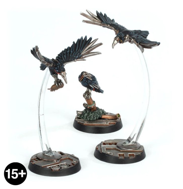 Cawdor Sheen Birds (предзаказ, GW Direct)