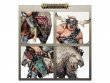 Bloodpelt Hunter