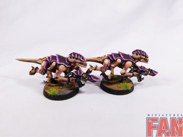 Warhammer 40k Tyranid Termagant x10 (Pro-Painted)