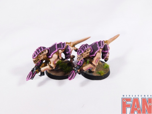 Warhammer 40k Tyranid Termagant x10 (Pro-Painted)