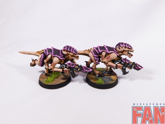 Warhammer 40k Tyranid Termagant x10 (Pro-Painted)