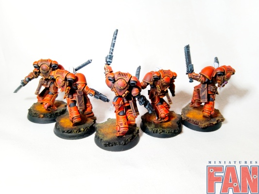 Warhammer 40k Space Marine Blood Angels Assault Intercessors x5 (Pro-Painted)