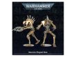 McFarlane Toys: Necrons Flayed One Action Figure (предзаказ)
