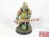 Warhammer 40k Death Guard Plague Marine Plaguespitter (Pro-Painted)