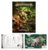 Warhammer Age of Sigmar – Starter Set